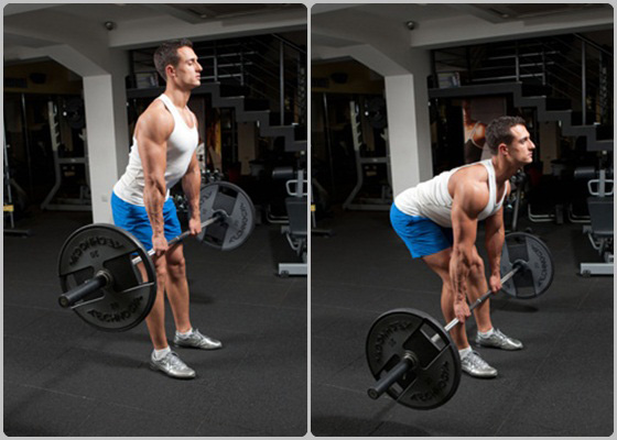 Romanian Deadlift Romanian Deadlift