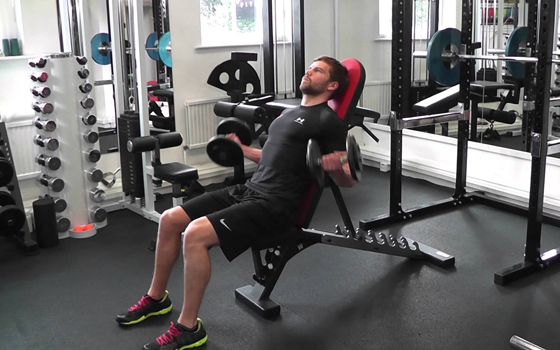Seated supinated dumbbell curl Seated supinated dumbbell curl