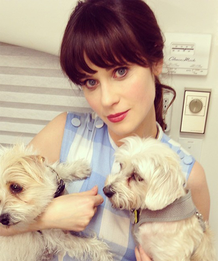Zooey Deschanel Zooey Deschanel