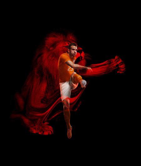 ชุดบอล เนเธอร์แลนด์ ชุดบอล เนเธอร์แลนด์