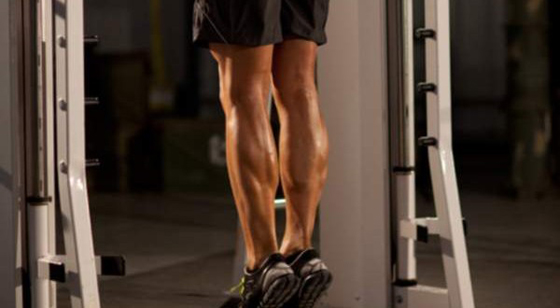 Calf Raise Calf Raise
