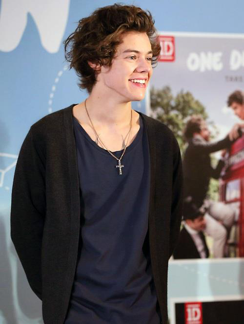 Harry Styles Harry Styles