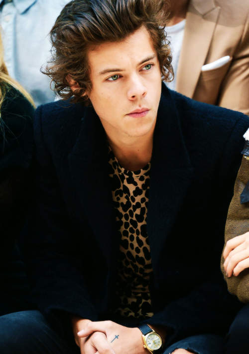 Harry Styles Harry Styles