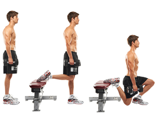 Bulgarian Split Squat Bulgarian Split Squat