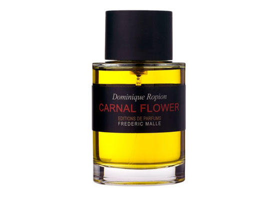 Carnal Flower Carnal Flower