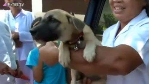 หมาพูดได้ หมาพูดได้