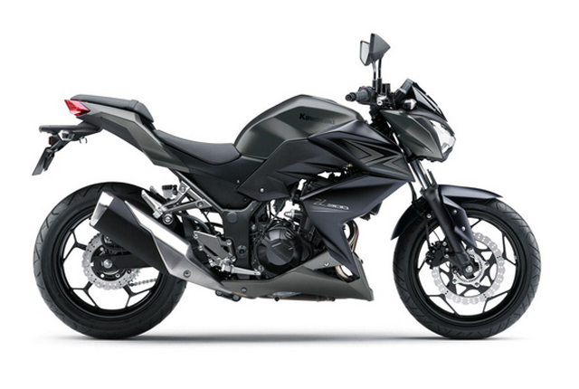 Z300 Z300
