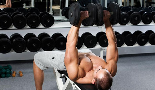 เคล็ดลับสร้างกล้าม เคล็ดลับสร้างกล้าม