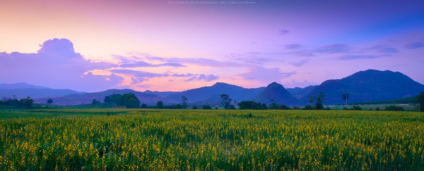 พาเที่ยว ไร่บุญรอด เชียงราย ผ่านเลนส์กล้องในมุมมองหลากหลาย