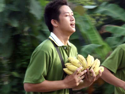 แม่โจ้ จัดงานเดิน-วิ่งการกุศลแม่โจ้-สันทราย 2555