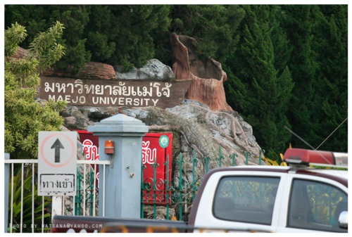 แม่โจ้ จัดงานเดิน-วิ่งการกุศลแม่โจ้-สันทราย 2555