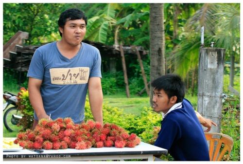 แม่โจ้ จัดงานเดิน-วิ่งการกุศลแม่โจ้-สันทราย 2555