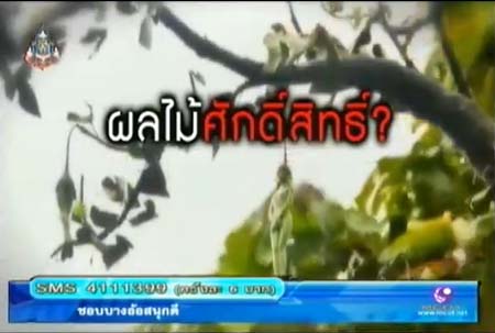รายการบางอ้อ ชวนไขปริศนา ไข่ถอนคุณไสย-พลังเหล็กไหล-มักกะลีผล