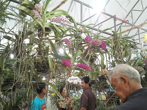 งานเกษตรแฟร์ 2556