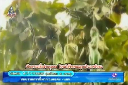 รายการบางอ้อ ชวนไขปริศนา ไข่ถอนคุณไสย-พลังเหล็กไหล-มักกะลีผล