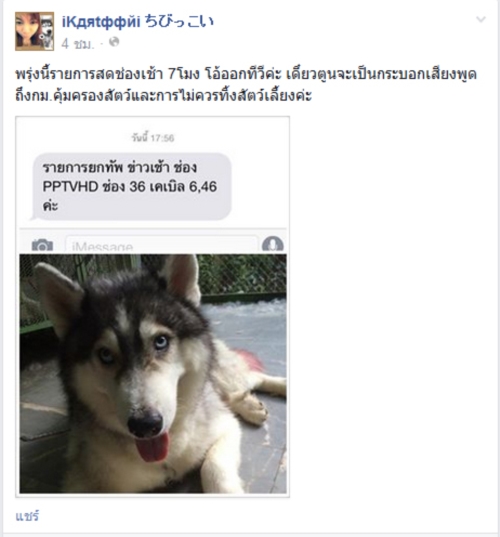 มาริโอ้ สุนัขพันธุ์ไซบีเรียนที่ถูกทิ้ง สุดฮอตมีคิวโชว์ตัวยาว มาริโอ้ สุนัขพันธุ์ไซบีเรียนที่ถูกทิ้ง สุดฮอตมีคิวโชว์ตัวยาว