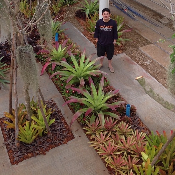 บ้านสรยุทธ สุทัศนะจินดา บ้านสรยุทธ สุทัศนะจินดา