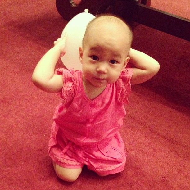 น้องชีต้า - น้องชิโน่ - น้องชิลี่