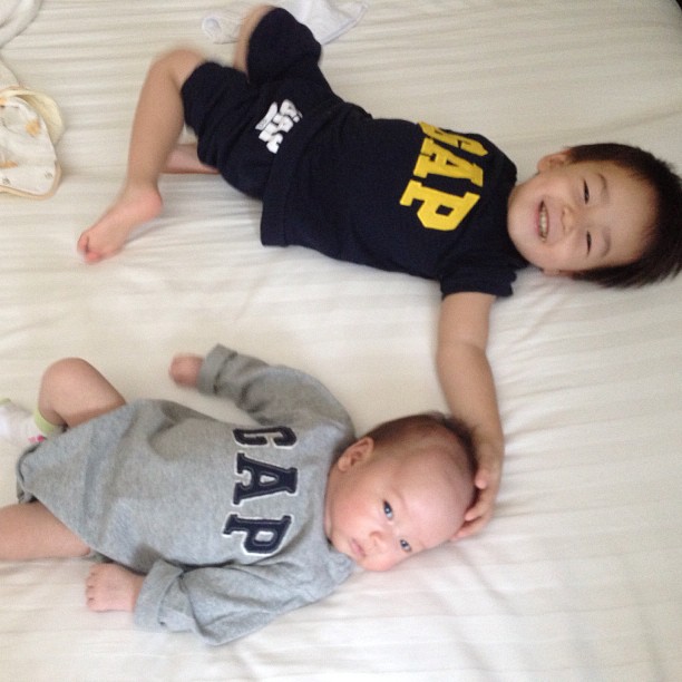น้องชีต้า - น้องชิโน่ - น้องชิลี่