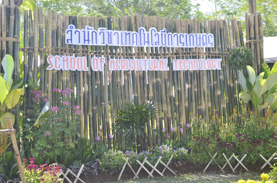 มหาวิทยาลัยวลัยลักษณ์ มอบทุนเรียนปริญญาโท มหาวิทยาลัยวลัยลักษณ์ มอบทุนเรียนปริญญาโท