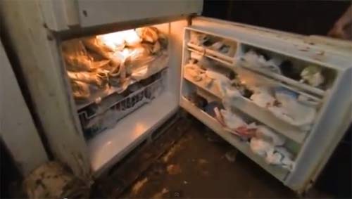 สุดอึ้ง! หญิงอังกฤษเก็บศพแมวกว่า 100 ตัวในตู้เย็น