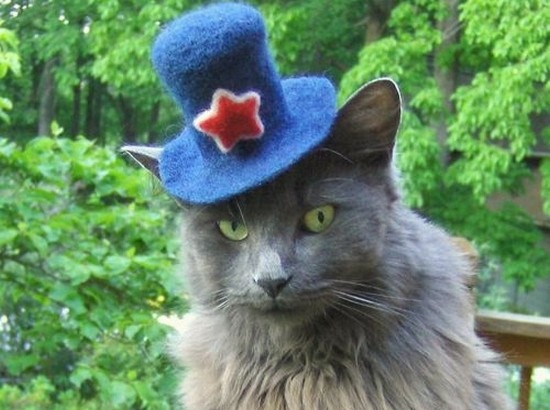 ชมภาพเหมียวใส่หมวกจากทั่วโลก น่ารักอย่าบอกใคร