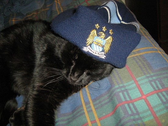 ชมภาพเหมียวใส่หมวกจากทั่วโลก น่ารักอย่าบอกใคร