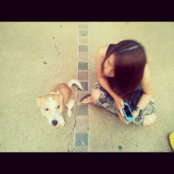 รวมภาพ...เชียร์ นางเอกใจบุญ รับเลี้ยงสุนัขขาขาด