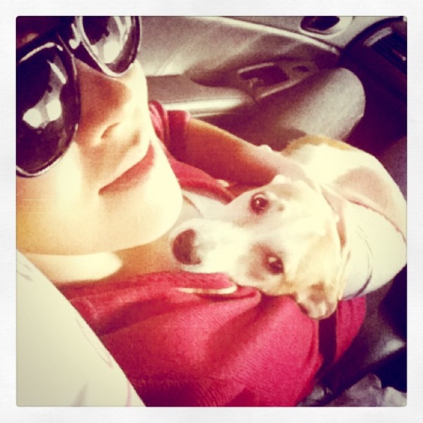 รวมภาพ...เชียร์ นางเอกใจบุญ รับเลี้ยงสุนัขขาขาด