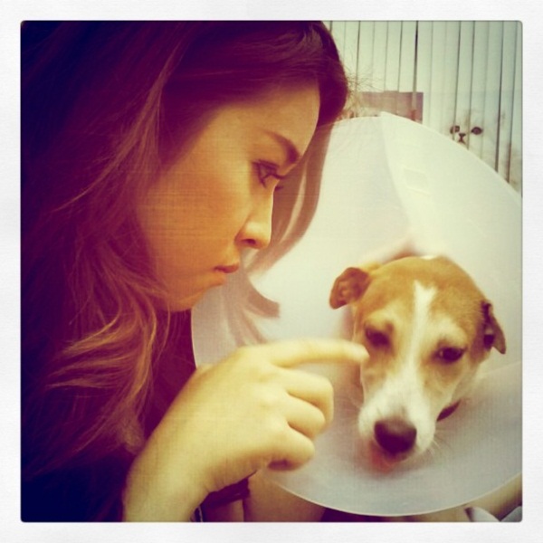 รวมภาพ...เชียร์ นางเอกใจบุญ รับเลี้ยงสุนัขขาขาด