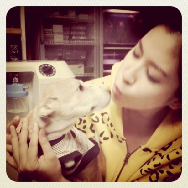 รวมภาพ...เชียร์ นางเอกใจบุญ รับเลี้ยงสุนัขขาขาด