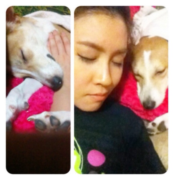 รวมภาพ...เชียร์ นางเอกใจบุญ รับเลี้ยงสุนัขขาขาด