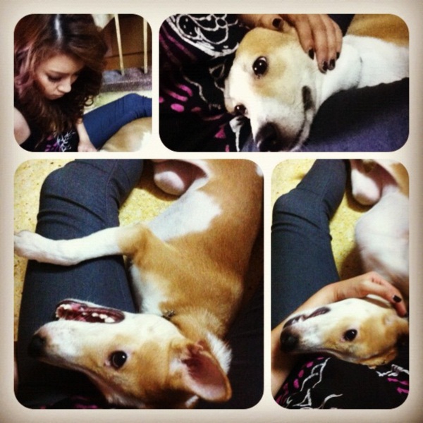 รวมภาพ...เชียร์ นางเอกใจบุญ รับเลี้ยงสุนัขขาขาด