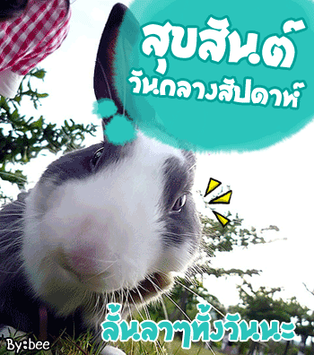 ดวงรายวัน วันที่ 23 มกราคม 2556