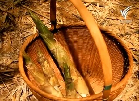 แกงหน่อไม้หวานใบย่านาง อร่อย และได้ประโยชน์