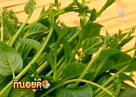 แกงหน่อไม้หวานใบย่านาง อร่อย และได้ประโยชน์