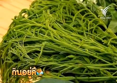 แกงหน่อไม้หวานใบย่านาง อร่อย และได้ประโยชน์