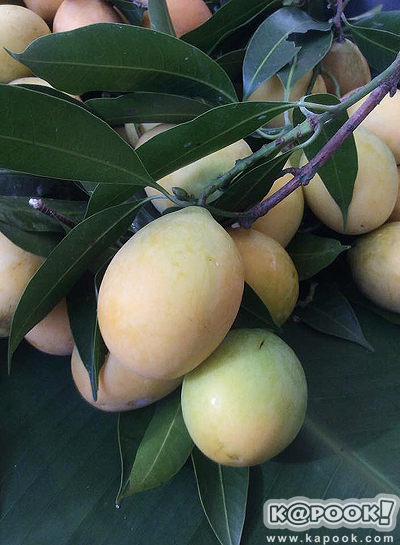 สีสันตะวันออก ตะลุยเมืองจันท์ วันธรรมดาก็เที่ยวได้ สีสันตะวันออก ตะลุยเมืองจันท์ วันธรรมดาก็เที่ยวได้