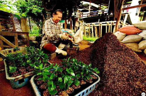 แจ้ซ้อน เทพเสด็จ ชีวิตหมุนวนบนหนทาง 1252 แจ้ซ้อน เทพเสด็จ ชีวิตหมุนวนบนหนทาง 1252