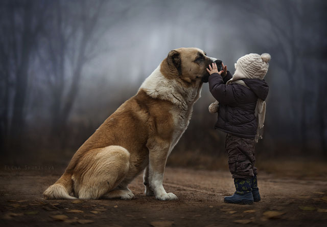 Flickr เผย 25 ภาพถ่ายยอดนิยมแห่งปี 2014 ที่มีคนชื่นชอบมากที่สุด Flickr เผย 25 ภาพถ่ายยอดนิยมแห่งปี 2014 ที่มีคนชื่นชอบมากที่สุด