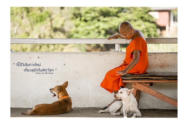 พิษณุโลก พิษณุโลก