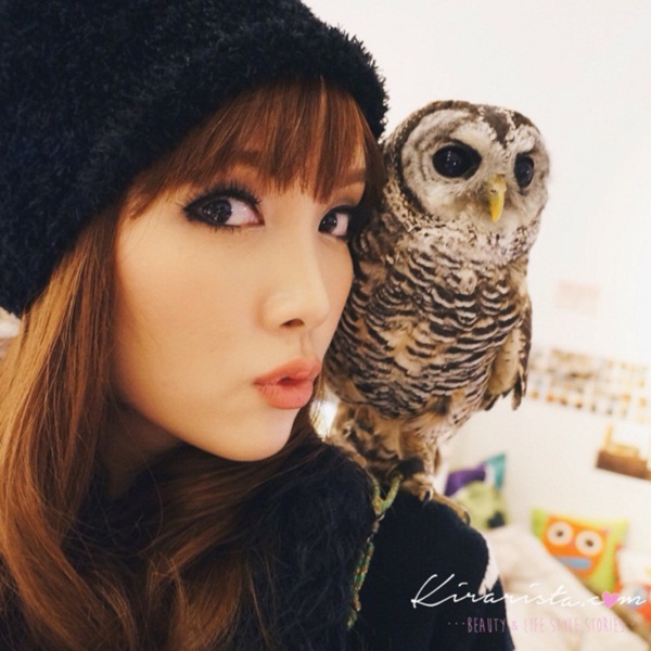 คาเฟ่นกฮูก คาเฟ่นกฮูก