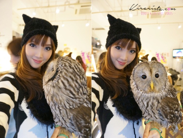 คาเฟ่นกฮูก คาเฟ่นกฮูก