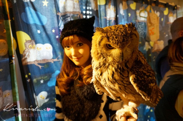 คาเฟ่นกฮูก คาเฟ่นกฮูก