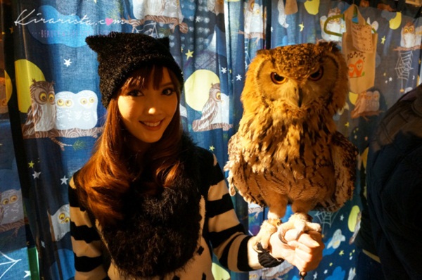 คาเฟ่นกฮูก คาเฟ่นกฮูก