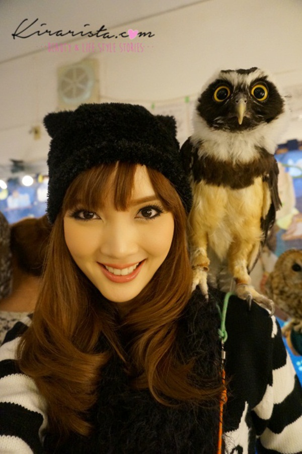 คาเฟ่นกฮูก คาเฟ่นกฮูก