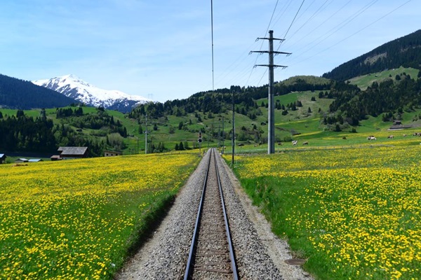 ไปนั่ง Glacier Express รถด่วนขบวนที่ช้าที่สุดในโลกกัน ไปนั่ง Glacier Express รถด่วนขบวนที่ช้าที่สุดในโลกกัน