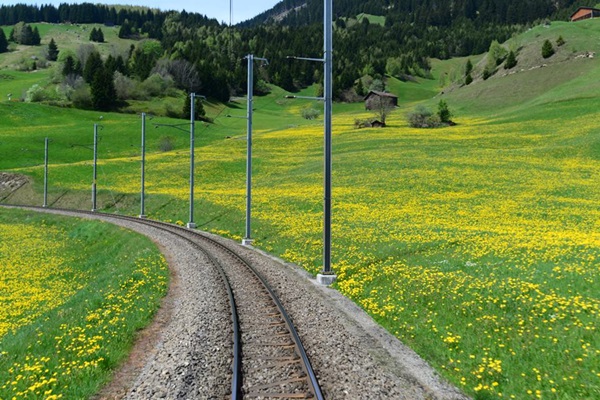 ไปนั่ง Glacier Express รถด่วนขบวนที่ช้าที่สุดในโลกกัน ไปนั่ง Glacier Express รถด่วนขบวนที่ช้าที่สุดในโลกกัน