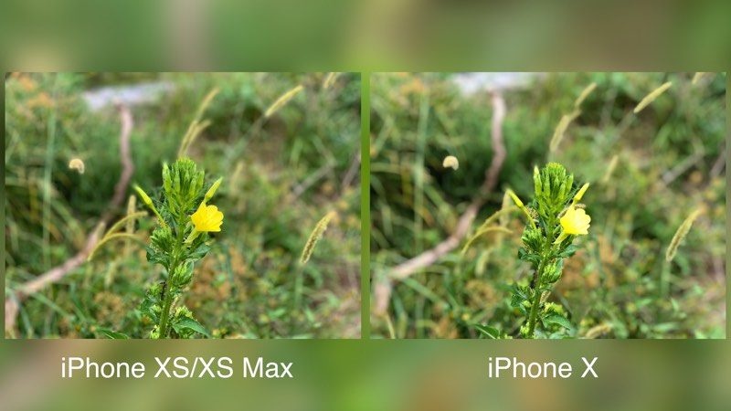 iphone xs max
