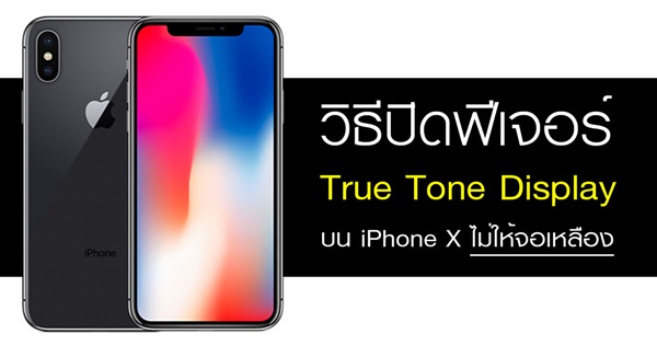 iPhone X